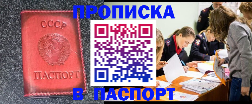 прописка для школы в Североморске